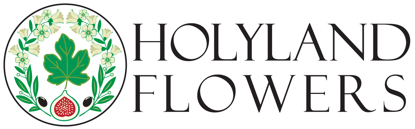 Holyland